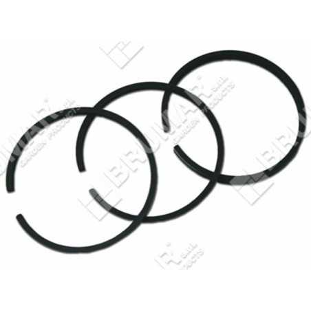 Série de segments BRIGGS & STRATTON - 026245 | NewgardenParts.com