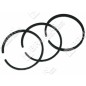 Série de segments BRIGGS & STRATTON - 026245