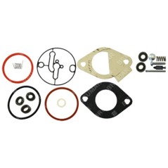 Serie guarnizioni per motori BRIGGS & STRATTON 796184 Compatibile - 026066 | NewgardenParts.com