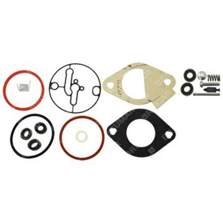 Serie guarnizioni per motori BRIGGS & STRATTON 796184 Compatibile - 026066 | NewgardenParts.com
