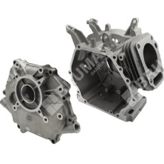 Kit Carter motore per motopompe DUCAR 250201 + 250101 Compatibile - 047315