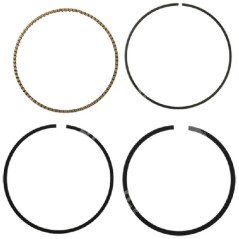 BRIGGS & STRATTON Segmentbausatz – 054746 | NewgardenParts.com