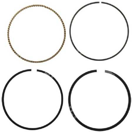 BRIGGS & STRATTON Segmentbausatz – 054746 | NewgardenParts.com