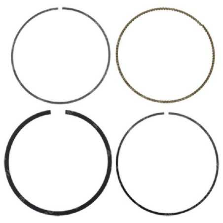 BRIGGS & STRATTON Segmentbausatz – 051332 | NewgardenParts.com