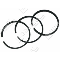 BRIGGS & STRATTON Segmentbausatz – 027352 | NewgardenParts.com