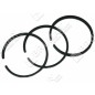 Kit de segmentos BRIGGS & STRATTON - 027352