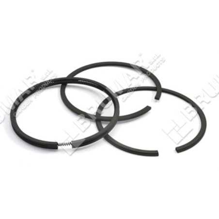 Kit de segments BRIGGS & STRATTON - 026020 | NewgardenParts.com