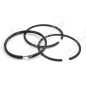 Kit Segmenti BRIGGS & STRATTON Compatibile - 026020