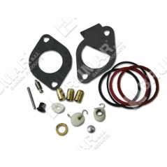 Serie guarnizioni per motori BRIGGS & STRATTON 796185 Compatibile - 026067 | NewgardenParts.com