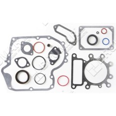 Serie guarnizioni per motori BRIGGS & STRATTON 796181 (ex 697151) Compatibile - 020499 | NewgardenParts.com