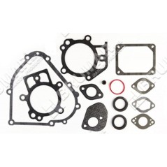 Serie guarnizioni per motori BRIGGS & STRATTON 795201 Compatibile - 026248 | NewgardenParts.com