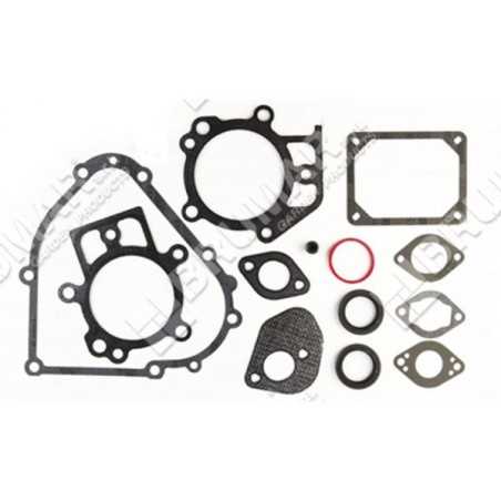 Serie guarnizioni per motori BRIGGS & STRATTON 795201 Compatibile - 026248 | NewgardenParts.com