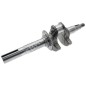 Cigüeñal para motores YAMAHA - 055241