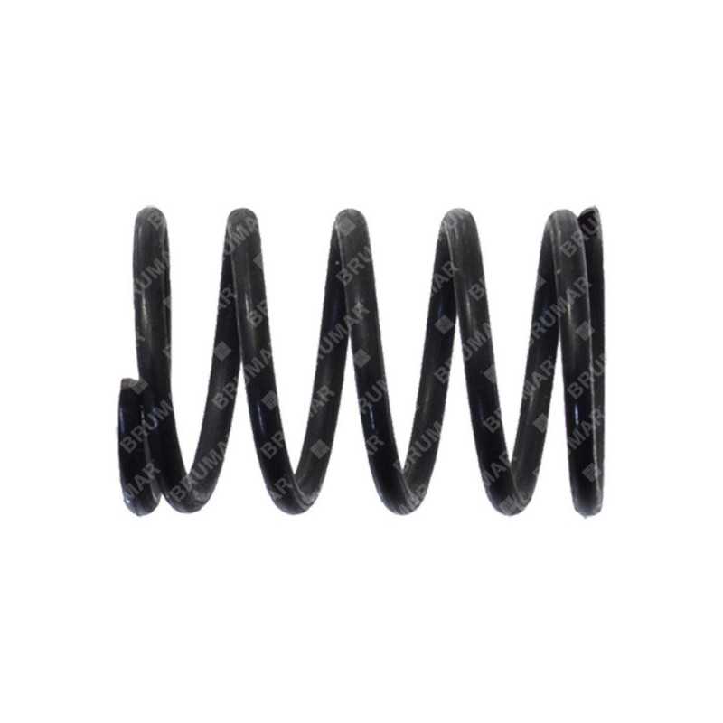 Valve spring for GREEN LINE blowers - 023052