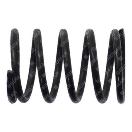 Ressort de soupape pour soufflantes GREEN LINE - 023052 | NewgardenParts.com