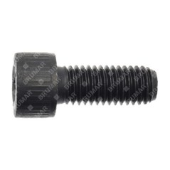 Tornillo de cuchilla para cortacésped SABO - 055322 | NewgardenParts.com