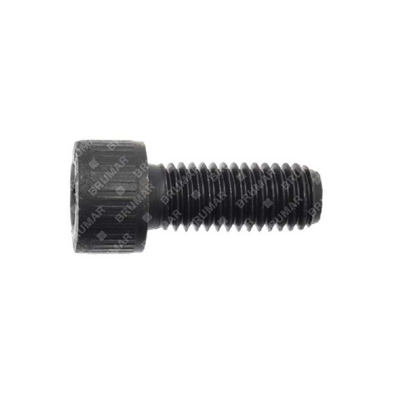 Blade screw for SABO lawnmower - 055322