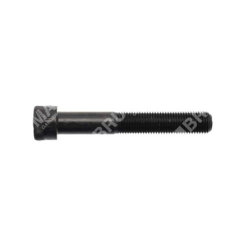 SABO blade screw - 055161