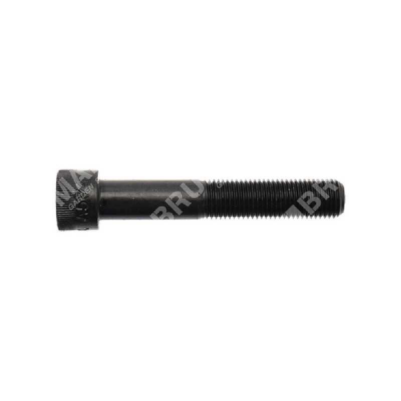 SABO blade screw - 055074