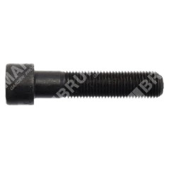 Vis de lame 3/8" longueur 44,4 mm pour tondeuse SABO - 054905