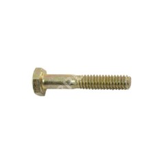 Vis à lame pas 1/4" 1,25 mm longueur 38 mm MTD - CUB CADET - YARD-MAN - BLANC - 020717