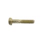 Blade screw 1/4" pitch 1.25 mm length 38 mm MTD - CUB CADET - YARD-MAN - WHITE - 020717