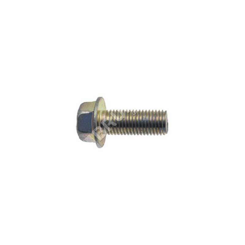Paso de tornillo de cuchilla 1,25 mm longitud 25 mm para cortacésped MAORI - 019974 Paso de tornillo de cuchilla 1,25 mm longitud 25 mm para cortacésped MAORI - 019974