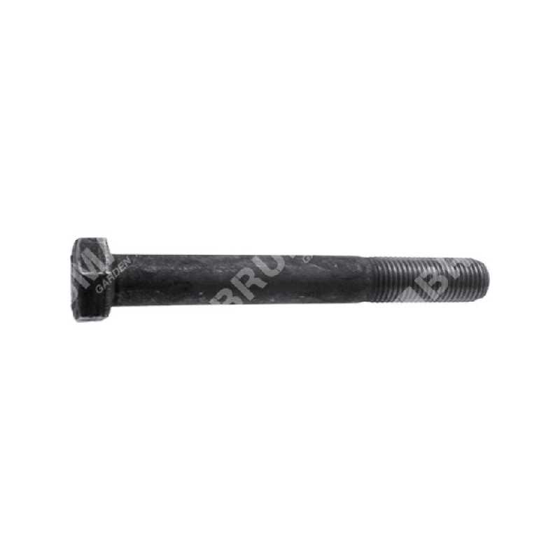 Vis à lame pas 3/8" 1,00 mm longueur 75 mm pour tracteurs CASTELGARDEN - GGP - ALPINA - STIGA - 010302