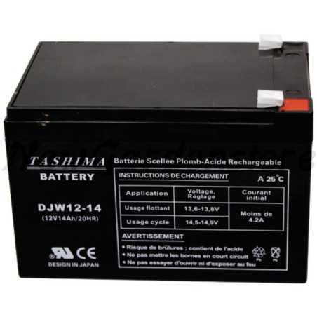 Batterie démarreur électrique tracteur de pelouse 12V 14Ah 57970046 | NewgardenParts.com