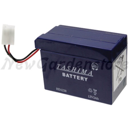 Batteria avviamento elettrico trattorino tagliaerba 12V 3Ah 57970050 | NewgardenParts.com