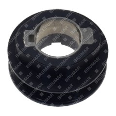 Polea del cigüeñal NEWTON - 057878 | NewgardenParts.com