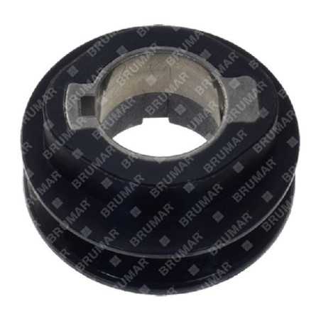 Kurbelwellenriemenscheibe NEWTON - 057878 | NewgardenParts.com