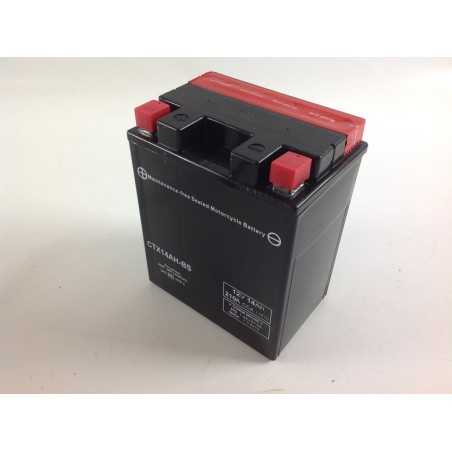 Batterie de démarrage étanche PROGREEN pour tondeuse et débroussailleuse 12V 14AH pôle positif gauche | NewgardenParts.com