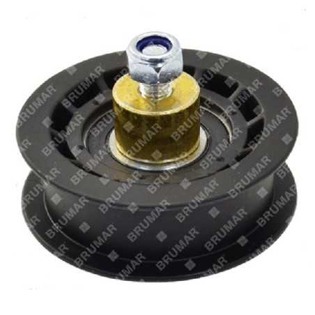 Polea tensora de correa para escarificadores SABO diámetro exterior 68,9 mm - 055454 | NewgardenParts.com
