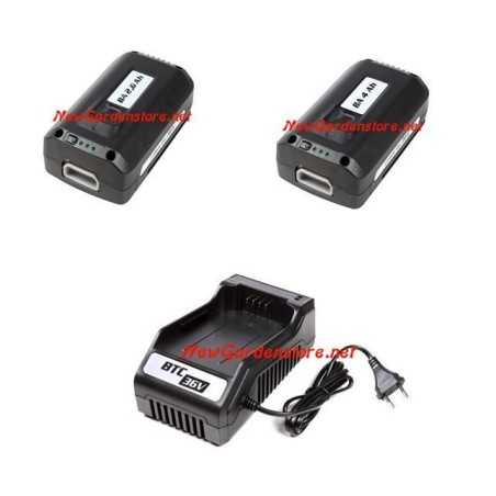 Batería OLEOMAC BA 4 Ah 36v o cargador BTC 36V | NewgardenParts.com