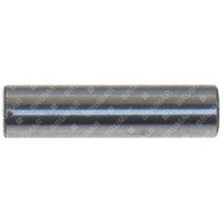 Spina semovenza COMPATIBILE - 056856 | NewgardenParts.com