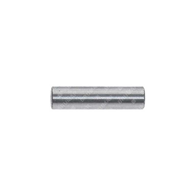 Selbstfahrstecker für Rasenmäher NEWTON - 049282