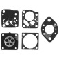 Diaphragm series for TILLOTSON DG-2HU carburetors - 006616