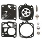Repair kit for TILLOTSON RK-20HS carburetors - 004101