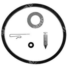 Kit de réparation pour carburateurs ASPERA - TECUMSEH - TECNAMOTOR 631021B - 028092