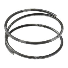 Diaphragm spring for BRIGGS & STRATTON carburettors 692206 (ex 260455) - 026085 | NewgardenParts.com