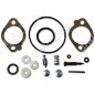 Kit Riparazione per carburatori BRIGGS & STRATTON 498260 COMPATIBILE - 020159 Kit Riparazione per carburatori BRIGGS & STRATTON 498260 COMPATIBILE - 020159