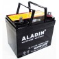 ALADIN 12V 22Ah batterie gel hermétique pôle positif droite pour tracteur de pelouse