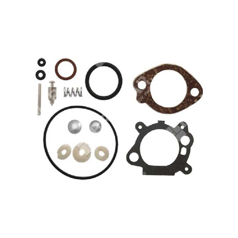 Repair Kit for BRIGGS & STRATTON carburetors 498260 - 012921