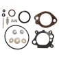 Kit Riparazione per carburatori BRIGGS & STRATTON 498260 COMPATIBILE - 012921