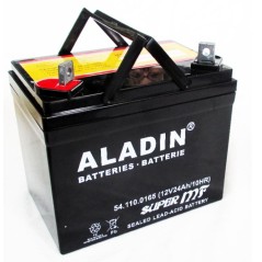 Batteria ermetica al gel ALADIN 12V 22Ah polo positivo sinistro per trattorino