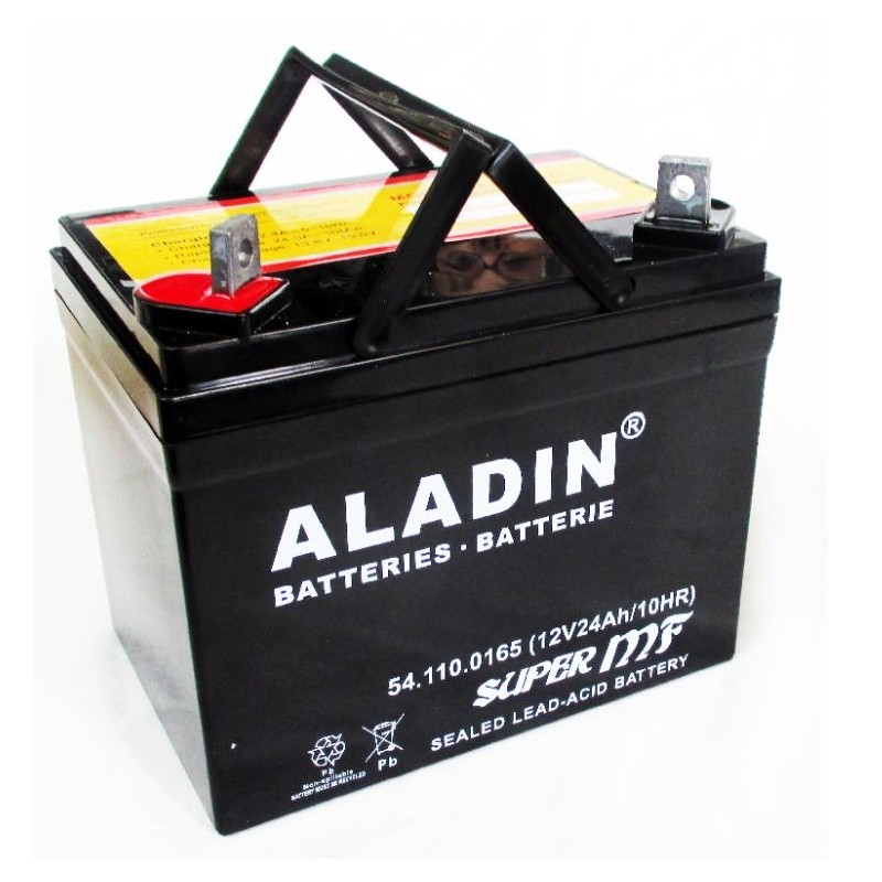 ALADIN Batterie gel hermétique 12V 22Ah pôle positif gauche pour tracteur de pelouse