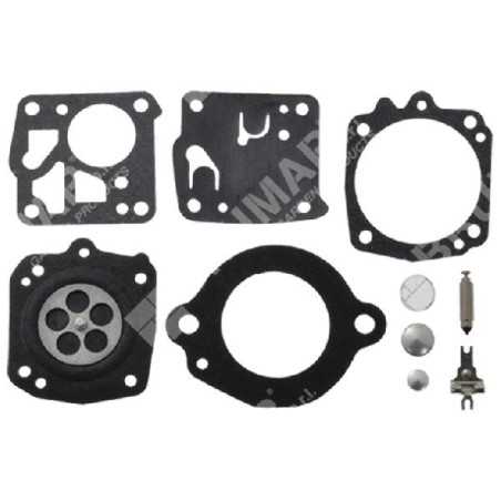 Kit de reparación para carburadores TILLOTSON RK-2HT - 008606 | NewgardenParts.com