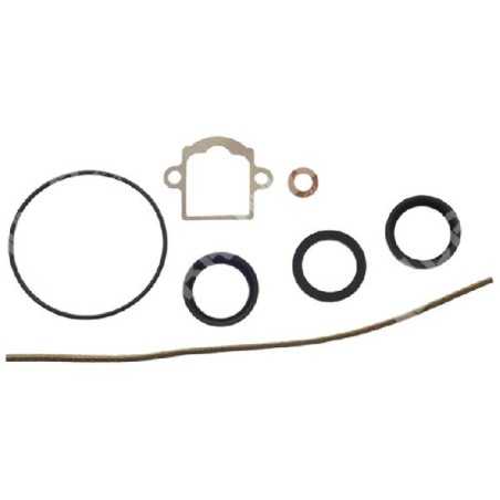 Reparatursatz für DELL'ORTO Vergaser 52579.77 - 5257900.77 - 008423 | NewgardenParts.com