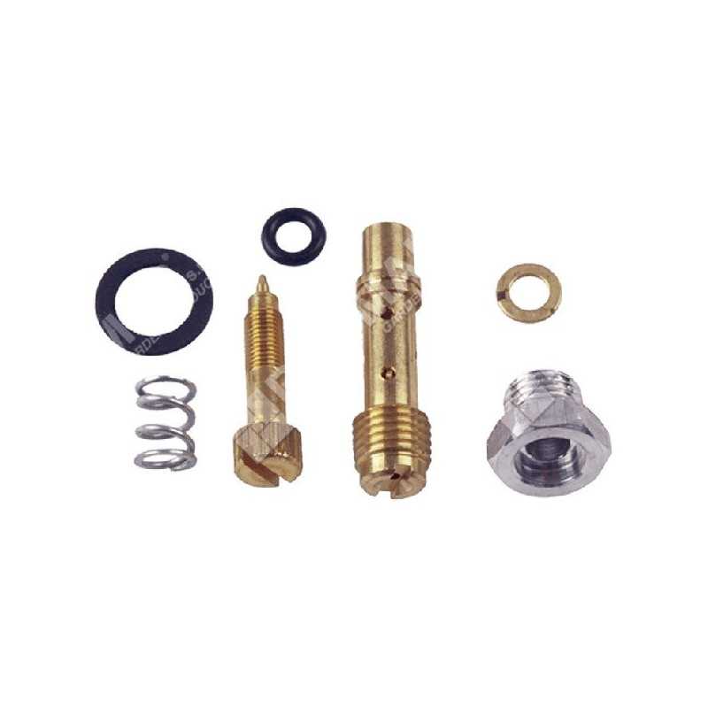 Kit Vite regolazione per carburatori BRIGGS & STRATTON 391233 COMPATIBILE - 006667